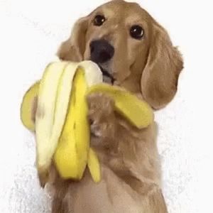 Meet your Posher, Sana